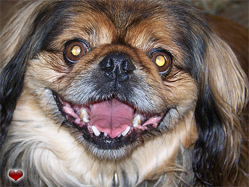 Rupert