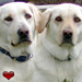 Riley and Cubby