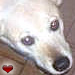 Roxy