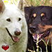 Taiko and Lincoln